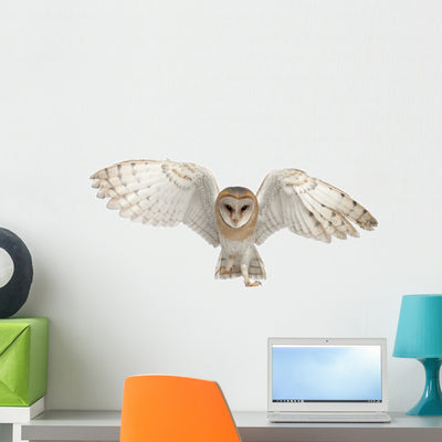 Barn Owl In-Flight Wall Decal shown on a wall