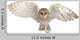 Barn Owl In-Flight Wall Decal