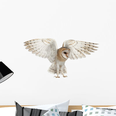 Spread Wings Barn Owl Wall Decal shown on a wall