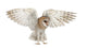 Spread Wings Barn Owl Wall Decal