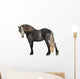 Percheron 5 Years Old Wall Decal
