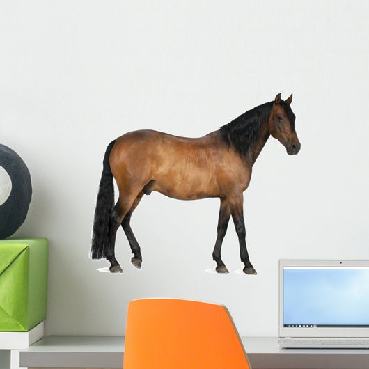 Mixed Breed Spanish and Wall Decal
