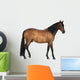 Mixed Breed Spanish and Wall Decal