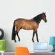 Mixed Breed Spanish and Wall Decal