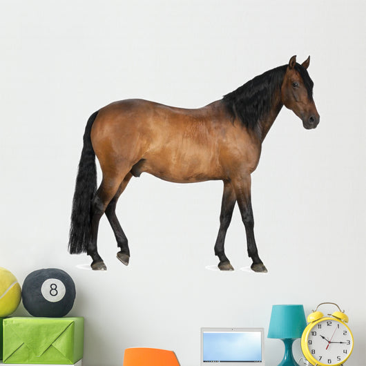 Mixed Breed Spanish and Wall Decal
