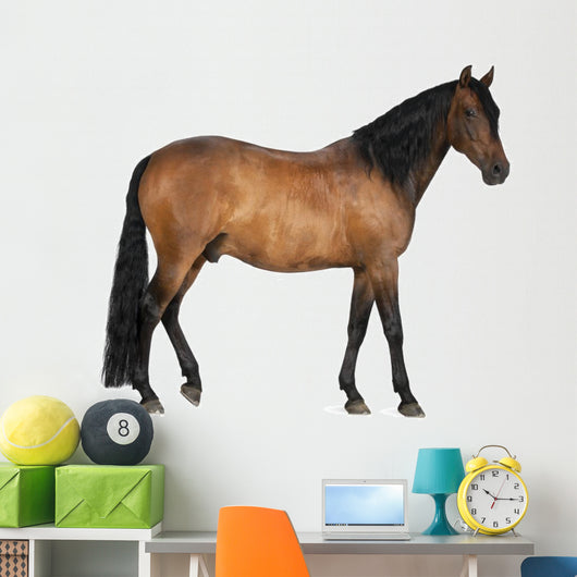 Mixed Breed Spanish and Wall Decal