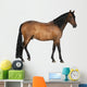 Mixed Breed Spanish and Wall Decal