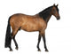Mixed Breed Spanish and Wall Decal