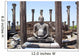 Buddha and Vatadage Wall Decal
