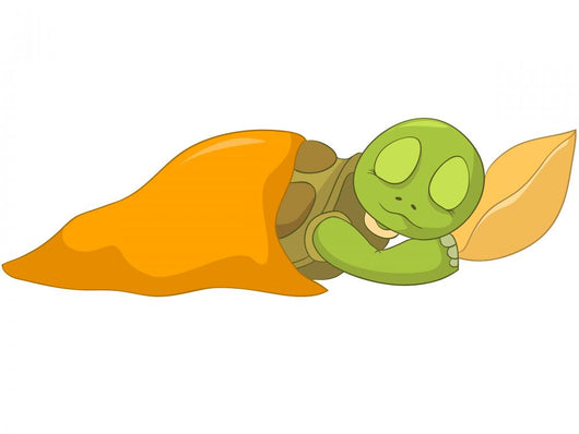 Funny Turtle Baby Sleeping Wall Decal