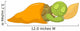 Funny Turtle Baby Sleeping Wall Decal