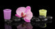 Spa Stones with Orchid Wall Decal