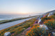 Wild Flowers Big Sur Wall Decal