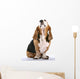 Basset Hound Wall Decal