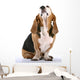 Basset Hound Wall Decal