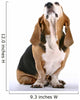 Basset Hound Wall Decal