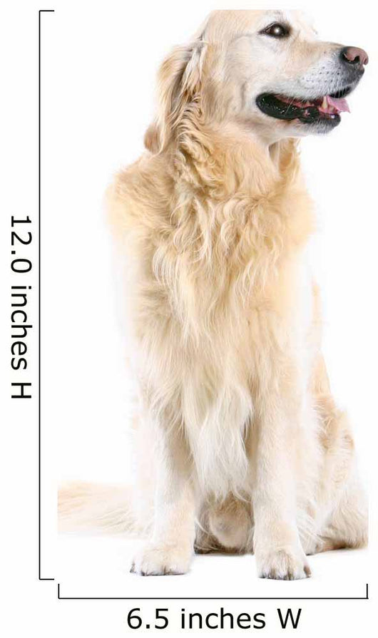 Golden Retriever Wall Decal