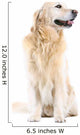 Golden Retriever Wall Decal