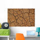Bodenerosion Wall Decal
