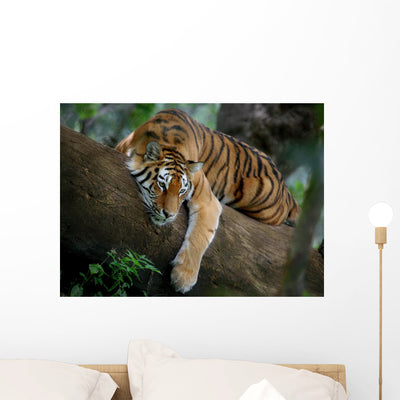 Tiger Tree Wall Decal shown on a wall
