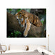 Tiger Tree Wall Decal