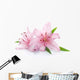 Two Pink Lily Wall Decal
