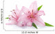 Two Pink Lily Wall Decal