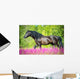 Black Horse Walking Beautiful Wall Decal