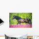 Black Horse Walking Beautiful Wall Decal