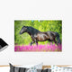 Black Horse Walking Beautiful Wall Decal