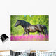 Black Horse Walking Beautiful Wall Decal