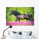 Black Horse Walking Beautiful Wall Decal