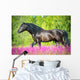 Black Horse Walking Beautiful Wall Decal