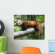 Red Panda Wall Decal
