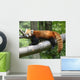 Red Panda Wall Decal