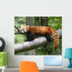 Red Panda Wall Decal