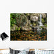 Koi Fish Garden Pond Wall Decal