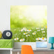 Daisy Flowers Meadow Floral Wall Decal