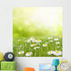 Daisy Flowers Meadow Floral Wall Decal