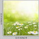 Daisy Flowers Meadow Floral Wall Decal