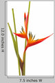 Tropical Flower Bird Paradise Wall Decal