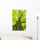 Tall Tree Trunk Wall Decal