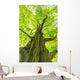 Tall Tree Trunk Wall Decal