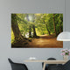 Forest Path Wall Decal