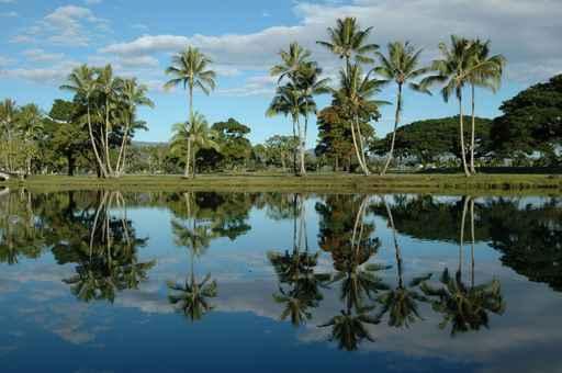 Wailoa Pond Wall Decal