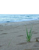 Lake Michigan USA Beach Wall Decal