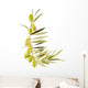 Olives Branch Wall Decal