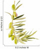Olives Branch Wall Decal