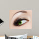 Close-up Beautiful Womanish Eye Wall Decal