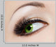 Close-up Beautiful Womanish Eye Wall Decal